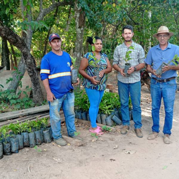 MARACUJA JATOBAZINHO (6).jpeg